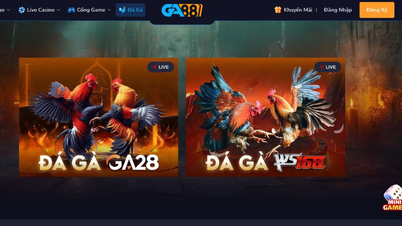 Tham gia đá gà 88VN với các trận đấu trực tiếp