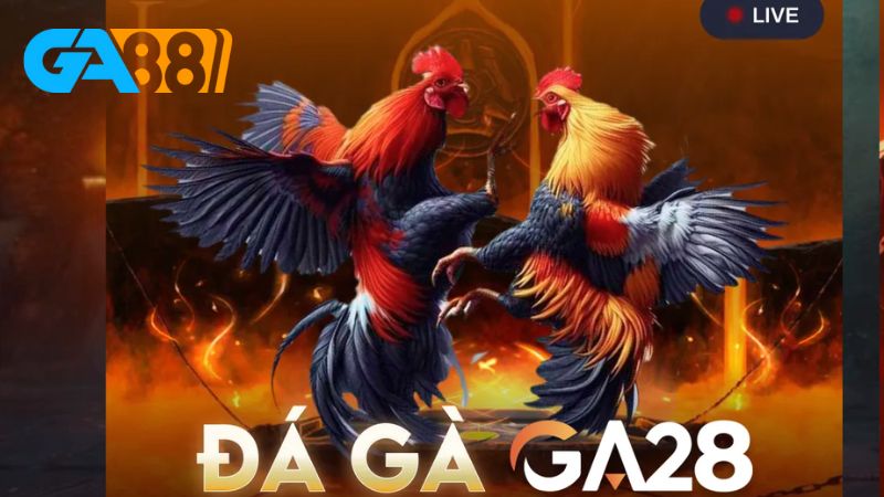 Cách đặt cược đá gà 88VN rất đơn giản