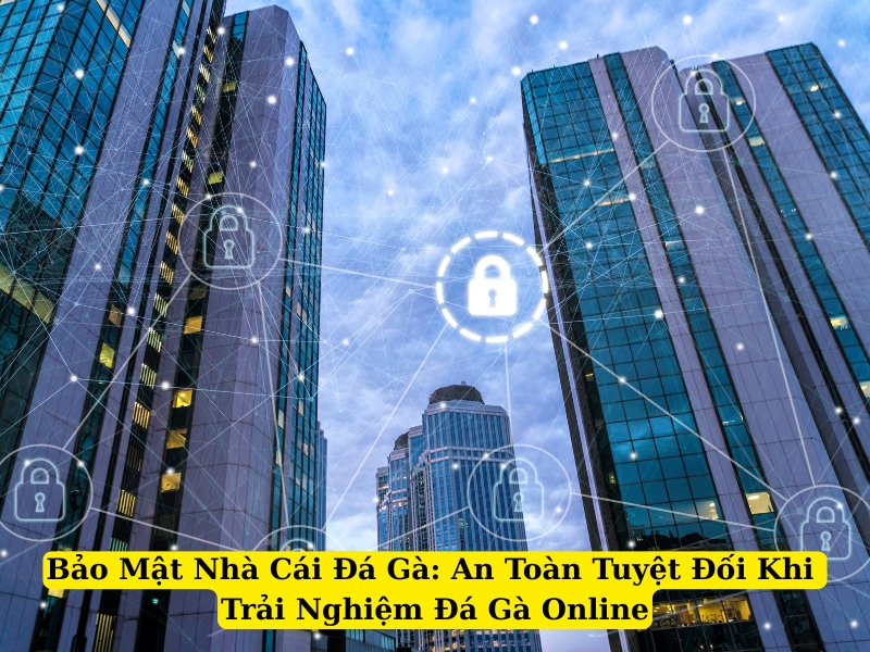 bảo mật nhà cái đá gà SV388 an toàn tuyệt đối khi trải nghiệm đá gà online