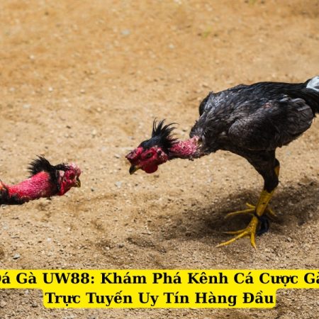 Tìm Hiểu Về Đá Gà UW88: Kênh Cá Cược Gà Trực Tuyến Uy Tín
