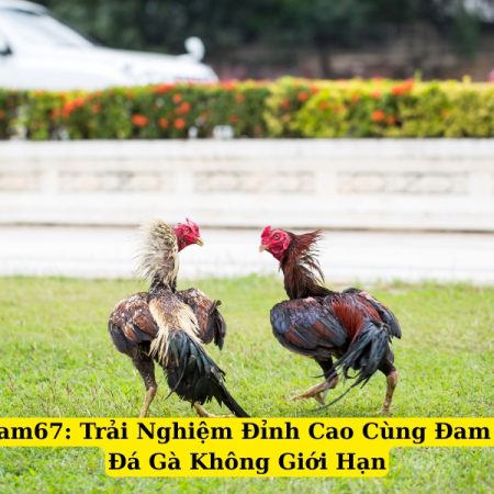 Gacam67: Trải Nghiệm Đỉnh Cao Cùng Đam Mê Đá Gà Không Giới Hạn