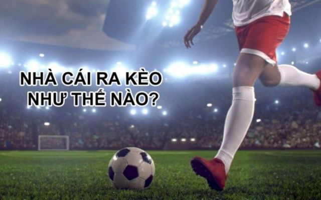 Cách nhà cái ra kèo bóng đá chuẩn xác