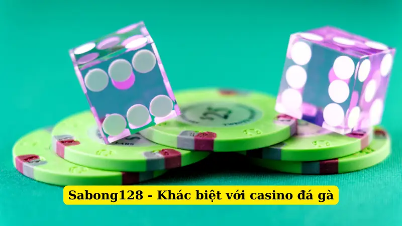 Sabong128 - Khác biệt với casino đá gà